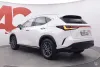 Lexus NX 450h+ AWD Executive - Teknologia-paketti Thumbnail 3